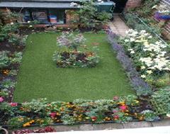 Artificial grass and a rose garden